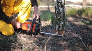 Lawn Irrigation Installation and Maintenance in Sutter Creek, CA